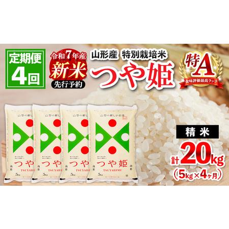 ふるさと納税 【定期便4回】 先行予約 令和7年産 新米 山形産 特別栽培米 つや姫5kg×4ヶ月(...