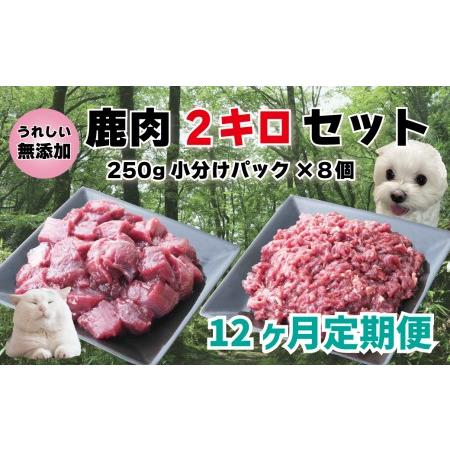 ふるさと納税 【12回定期便】 森のジビエ for PET 鹿肉 2kg ペットフード 犬 猫 A-...