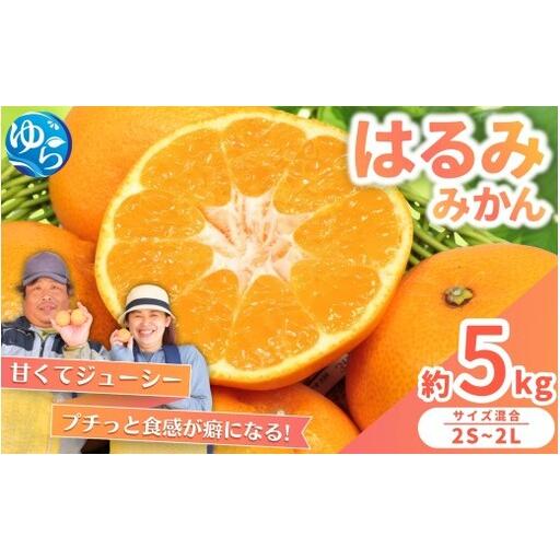 ふるさと納税 はるみ みかん 5kg S〜4Lサイズ混合 / くだもの 甘い 柑橘 果物 和歌山 ※...