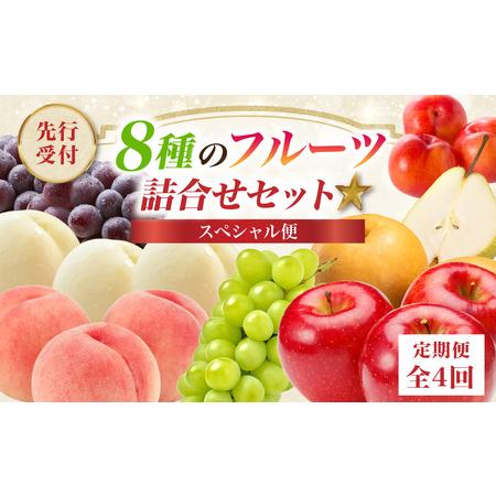 ふるさと納税  ≪先行受付≫【2026度年発送】8種のフルーツ詰合せセット★スペシャル便【定期便全４...