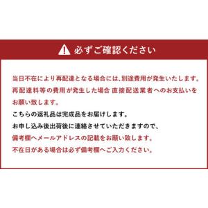 ふるさと納税 Sofa(D) 椅子 イス チェ...の詳細画像3