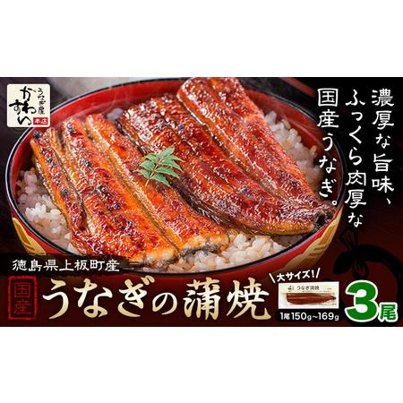 ふるさと納税 うなぎ屋かわすい 国産うなぎの蒲焼 計3尾 徳島県上板町
