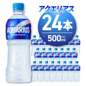 ふるさと納税 アクエリアス500mlPET×24...の商品画像