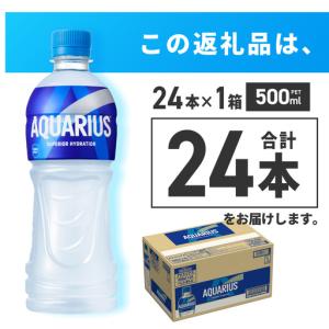 ふるさと納税 アクエリアス500mlPET×2...の詳細画像2