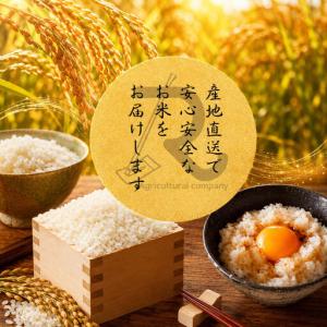 ふるさと納税 にじのきらめき 10kg お米 ...の詳細画像2