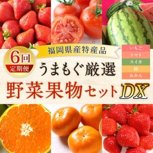ふるさと納税 【福岡県産 特産品 年6回定期便】うまもぐ厳選 野菜果物セットDX 定期便 野菜 果物 詰め合わせ IK 福岡県北九州市