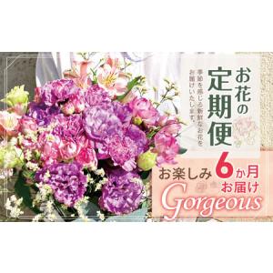 ふるさと納税 お楽しみ！ 6か月 お届け お花 の 定期便 「Gorgeous」 | 花 ブーケ タイプ 高さ45cm-50cm 本数15-20本 東京都調布市