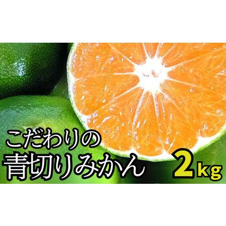 ふるさと納税 【2026年秋頃発送予約分】＼光センサー選別／ 【農家直送】こだわりの青切りみかん 約...