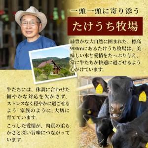 ふるさと納税 7月発送★国産牛 段戸山高原牛 ...の詳細画像2