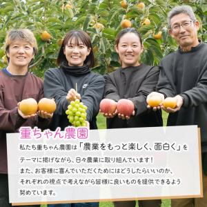 ふるさと納税 【令和8年産先行予約】 種なしピ...の詳細画像1