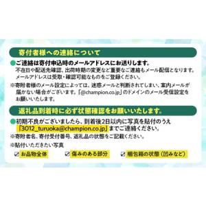ふるさと納税 【令和8年産先行予約】 種なしピ...の詳細画像3