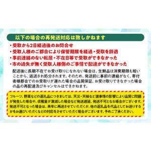 ふるさと納税 【令和8年産先行予約】 種なしピ...の詳細画像4