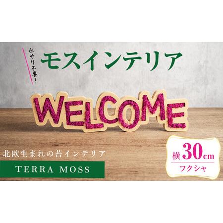 ふるさと納税 モスインテリア「WELCOME」(フクシャ) ＜横300mm・高さ80mm・幅15mm...