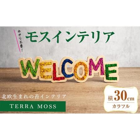 ふるさと納税 モスインテリア「WELCOME」(カラフル) ＜横300mm・高さ80mm・幅15m＞...