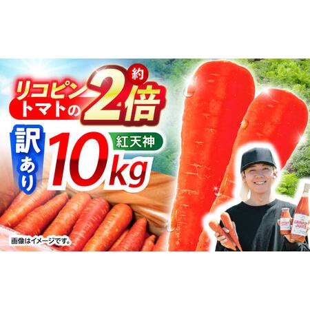 ふるさと納税 ※【2026年1月発送分／先行予約】【訳あり】【甘みと栄養たっぷり！】 真っ赤な人参 ...