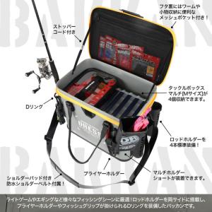 ふるさと納税 [DRESS] バッカン 34L...の詳細画像2