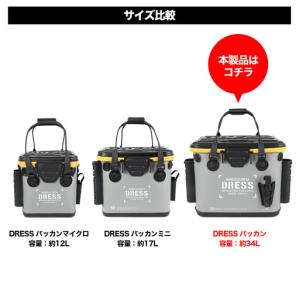 ふるさと納税 [DRESS] バッカン 34L...の詳細画像3