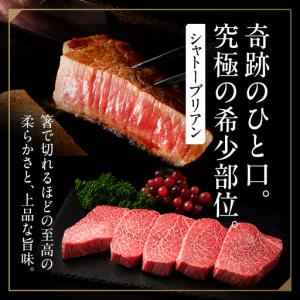 ふるさと納税 シャトーブリアン 【定期便】 佐...の詳細画像3