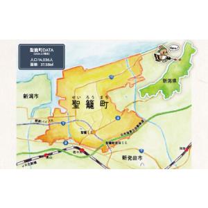 ふるさと納税 【12ヶ月定期便】サトウのごはん...の詳細画像3