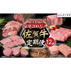 ふるさと納税 佐賀牛 極上！12回定期便 佐賀牛 ブランド牛 国産牛 牛肉 肉 定期便 佐賀県 太良町 ZAP1 佐賀県太良町