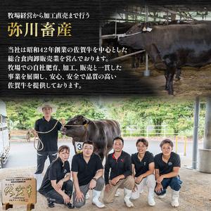 ふるさと納税 佐賀牛 極上!12回定期便 佐賀...の詳細画像3