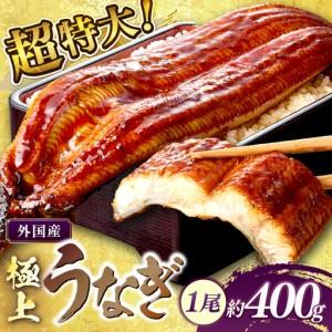 ふるさと納税 【鰻】うなぎ蒲焼き1尾 400g前...の商品画像