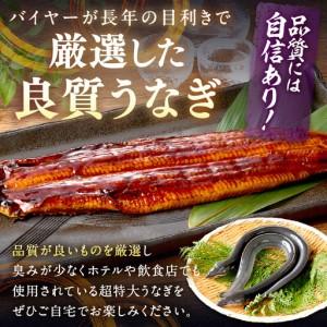 ふるさと納税 【鰻】うなぎ蒲焼き1尾 400g...の詳細画像2