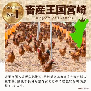 ふるさと納税 鶏肉【テレビで話題!】宮崎県産若...の詳細画像1