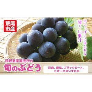 ふるさと納税 ぶどう 約 600g 〜700g...の詳細画像1