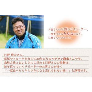 ふるさと納税 ぶどう 約 600g 〜700g...の詳細画像3