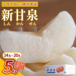 ふるさと納税 【先行予約】（訳あり）中野農園 梨 ”新甘泉” 5kg箱｜鳥取 岩美 梨 なし ナシ※お届けは2026年8月下旬以降【41022】 鳥取県岩美町
