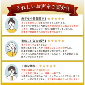 ふるさと納税 【先行予約】(訳あり)中野農園 ...の詳細画像2