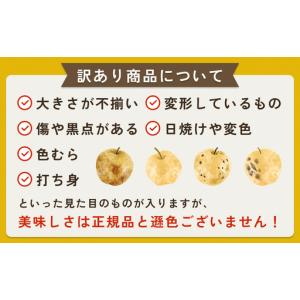 ふるさと納税 【先行予約】(訳あり)中野農園 ...の詳細画像3