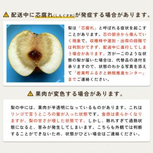 ふるさと納税 【先行予約】(訳あり)中野農園 ...の詳細画像4