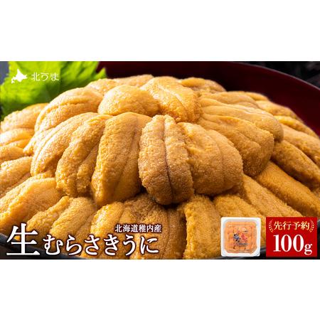 ふるさと納税 【先行予約】【2026年発送予約】うにの名産地稚内市！最北端の生むらさきうに(100g...