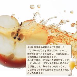 ふるさと納税 【定期便12ヶ月】りんごジュース...の詳細画像1