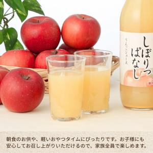 ふるさと納税 【定期便12ヶ月】りんごジュース...の詳細画像2