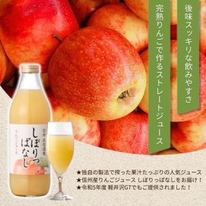 ふるさと納税 【定期便12ヶ月】りんごジュース...の詳細画像3
