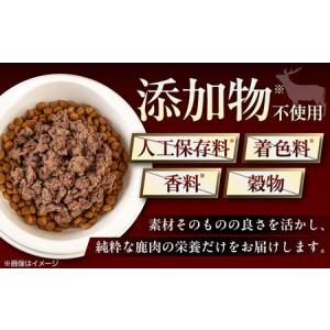 ふるさと納税 【全12回定期便】ペット用 エゾ...の詳細画像2