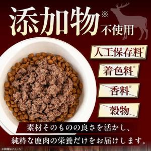 ふるさと納税 【全12回定期便】ペット用 エゾ...の詳細画像2