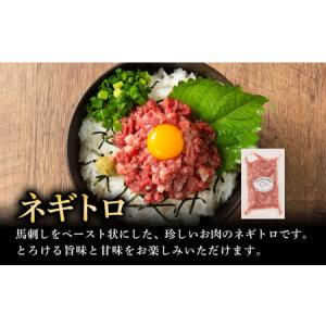ふるさと納税 全12回定期便 熊本特産 赤身馬...の詳細画像1