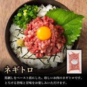 ふるさと納税 全12回定期便 熊本特産 赤身馬...の詳細画像1