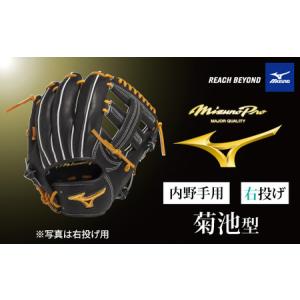 ふるさと納税 AO68 ミズノプロ 硬式用 野球グラブ 投手用 伊藤 型（ 左