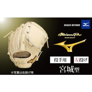 ふるさと納税 AO71　ミズノプロ 硬式用 野球グラブ 投手用 宮城型（ 左投げ ）　【 野球 グローブ グラブ ピッチャー 投手 受注生産 Mizuno Pro .. 兵庫県宍粟市