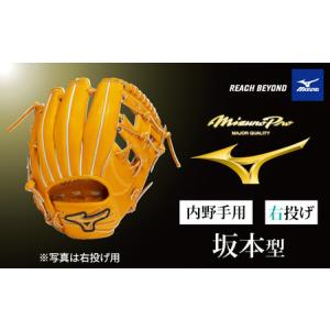 ふるさと納税 AO73　ミズノプロ 硬式用 野球グラブ 内野手用 坂本型（ 右投げ ）　【 野球 グローブ グラブ 内野 内野手 受注生産 Mizuno Pro 美.. 兵庫県宍粟市