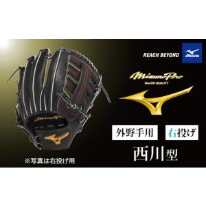 ふるさと納税 AO63 ミズノプロ 硬式用 宍粟牛グラブ 外野手用 イチロー