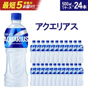 ふるさと納税 【最短5営業日着！】アクエリアス 500mlPET×24本　【04301-0039】 宮城県蔵王町