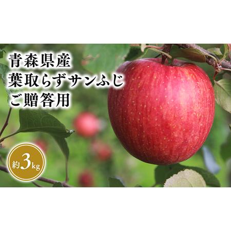 ふるさと納税 2025年5〜6月発送! 葉とらずサンふじ3kg贈答用【そと川りんご園】りんご リンゴ...