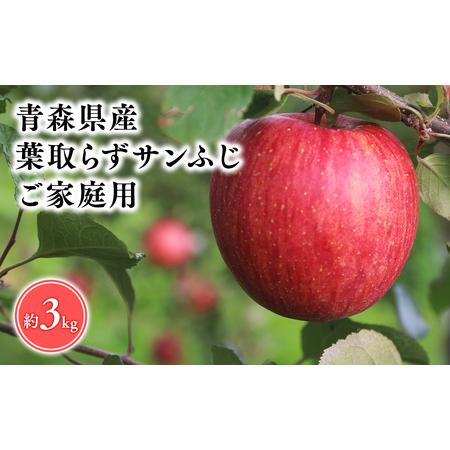 ふるさと納税 2025年5〜6月発送! 葉とらずサンふじ3kg訳あり家庭用【そと川りんご園】りんご ...