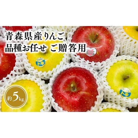 ふるさと納税 2025年5〜6月発送! 品種お任せ 旬のりんご詰め合わせ5kg贈答用【そと川り...